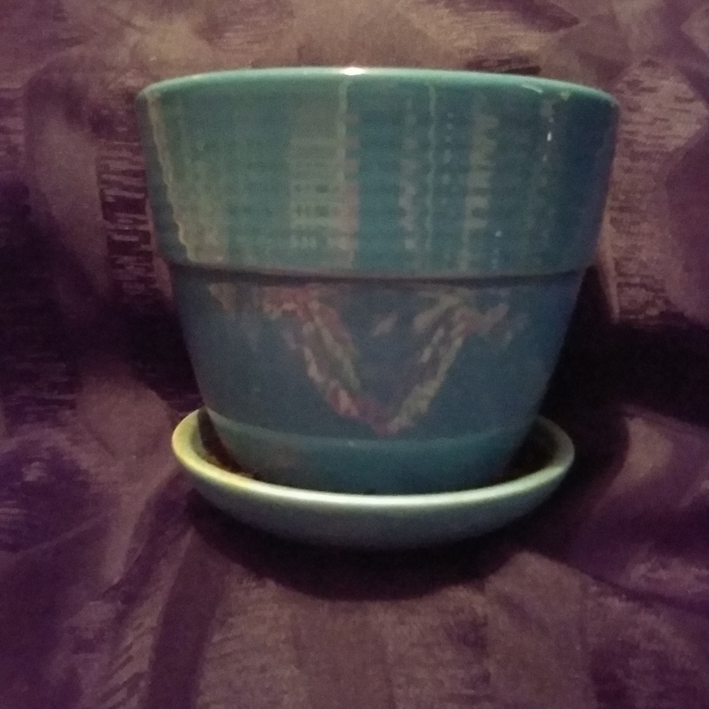 Glass flower pot